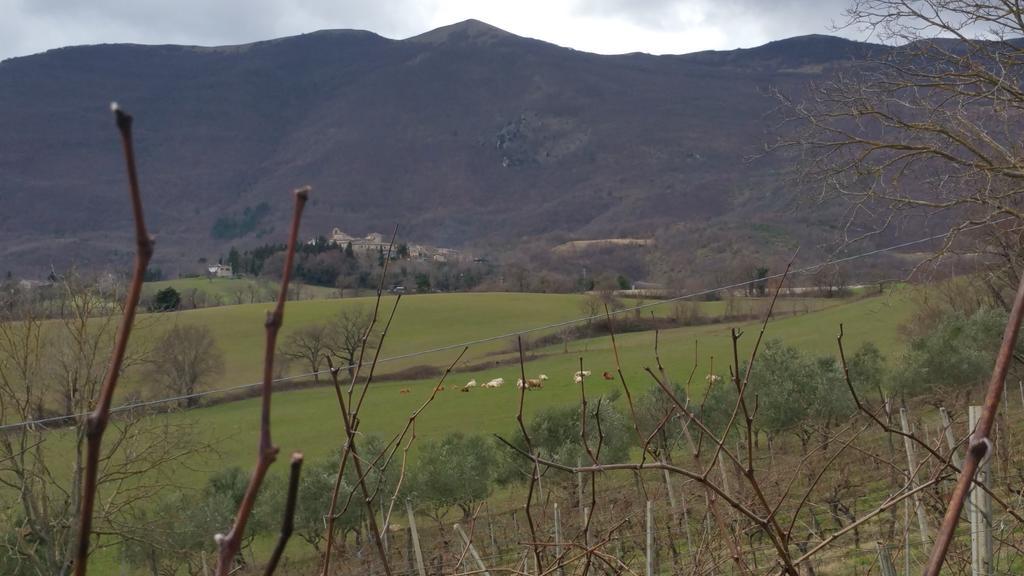 Pietra Maula Agriturismo Castelraimondo Екстер'єр фото