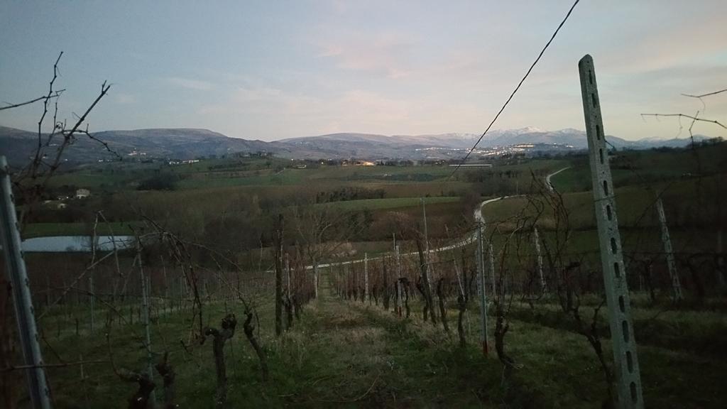 Pietra Maula Agriturismo Castelraimondo Екстер'єр фото