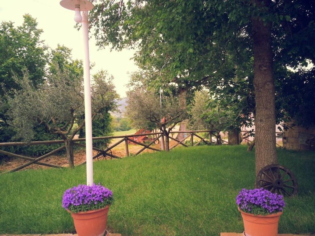Pietra Maula Agriturismo Castelraimondo Екстер'єр фото